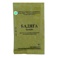 БАДЯГА пор. 10г