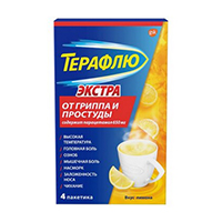 ТЕРАФЛЮ ЭКСТРА пор. (саше) n4